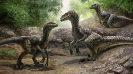 Kilencvenmillió éves raptorcsontokat találtak az ELTE kutatói Ausztriában