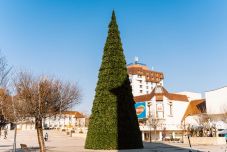 Ünnepre hangolódás Marosvásárhelyen