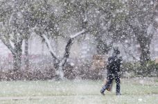 Havazásra és erős szélre vonatkozó figyelmeztetéseket adtak ki országszerte