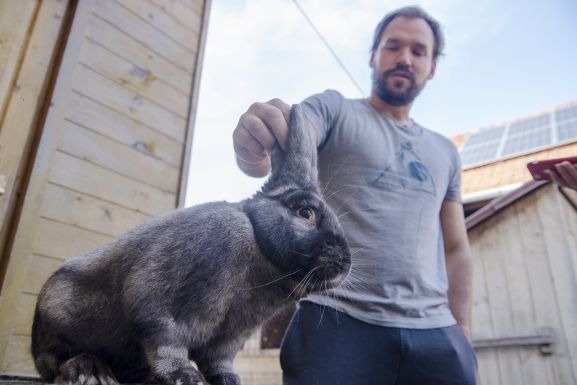 Székely a nyúl, a baromfi, a kutya és a juh – új állatfajtákat tenyészt a „genetikaszerelmes” gazda