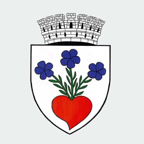 Elfogadta a kormány Csíkszereda címerét