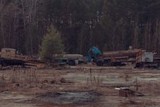 Sugárszennyezettek a vaddisznók, a gombák és a fenyők a bajor erdőkben: 35 év után is mérgez Csernobil