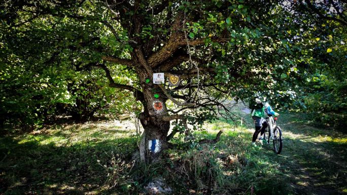 Kolozsvár Kör 100: új útvonal várja a kincses város közelében túrázókat