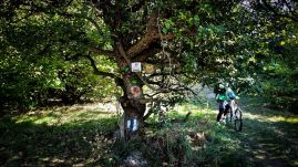 Kolozsvár Kör 100: új útvonal várja a kincses város közelében túrázókat