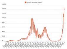 Csúcsot döntött az elhalálozások száma: egy nap alatt 357 koronavírus-fertőzött hunyt el