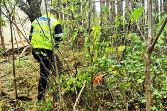 Megölték egy falu lakói a településükre visszatérő medvét