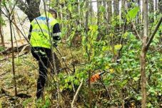 Megölték egy falu lakói a településükre visszatérő medvét