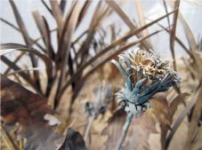 Szabó Lőrinc, Páskándi Géza és Mircea Cărtărescu is szerepel a Székelyföld októberi számában