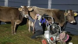 A falusi nő őserő, ezernyi munkát végez: orvos, földműves, tenyésztő, bába, kertész, kereskedő, mérnök és családanya