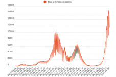 Vasárnapi jelentés: az elvégzett tesztek 28 százaléka lett pozitív 