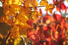 Erdély-szerte változékony lesz az időjárás október végéig