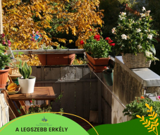 Virágos Kolozsvár: ők a díjazott „városszépítők” 2021-ben