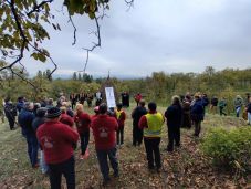 Lefektették a Kinizsi Pál emlékpark alapkövét a kenyérmezei csata helyszínén