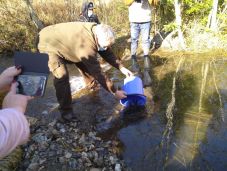 Pisztrángokkal telepítették be a Gyergyószentmiklós ivóvízellátását biztosító patakot