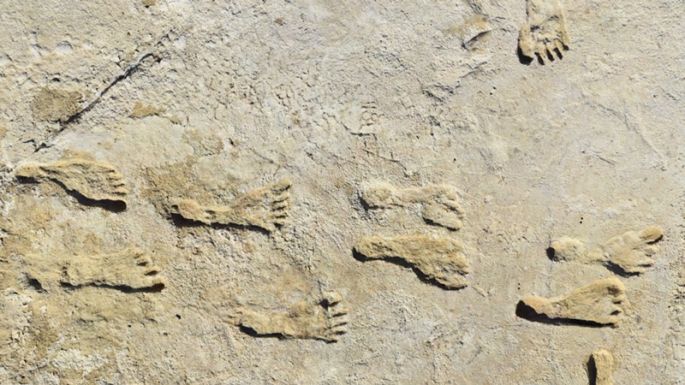 Emberfélétől származó hatmillió éves lábnyomokat találtak