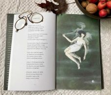 Szép Magyar Könyv Díjat nyert László Noémi Műrepülése 