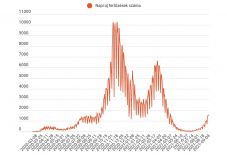 Elhunyt 28 beteg, több mint 1500 új fertőzöttet találtak