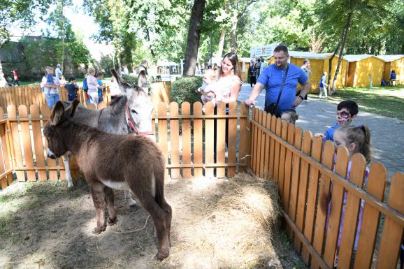 Szatmárnémeti: beköltözött a vidék a Kossuth-kertbe és hatalmas sikert aratott