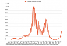 1849 új esetet igazoltak az elmúlt 24 órában