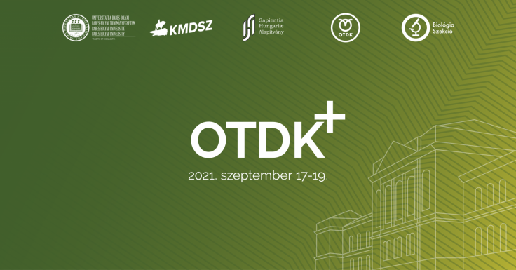 Neves konferenciának ad otthont a BBTE