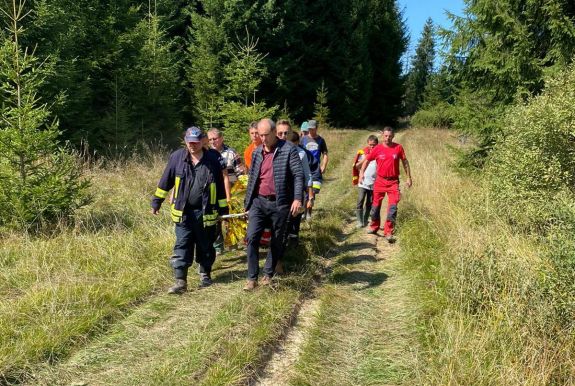 Kutyája mentette meg az eltévedt idős asszonyt Farkaslakán