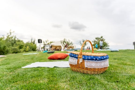 Picnic in the vineyard: borkóstolót és szakmai előadásokat tartottak