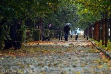 Országszerte sok esőre és erős szélre lehet számítani szombat reggelig