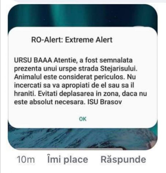 Vicces kedvében a RO-Alert: „medve hééé” felkiáltással riasztották a brassóiakat