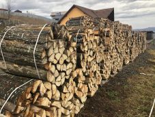 Tervezet: 5 százalékra csökkentenék november elsejétől a tűzifa áfáját