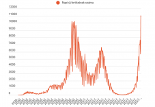 Csaknem 11 ezer új esetet, 207 elhalálozást mutat a szerdai jelentés