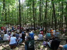Nagyvárad is csatlakozik a Muzsikál az erdő zenés-környezetvédő programhoz