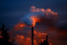 Gyengülnek a Föld „életjelei”: 10 ezer vezető kutató szerint vészesen közeleg a végóra