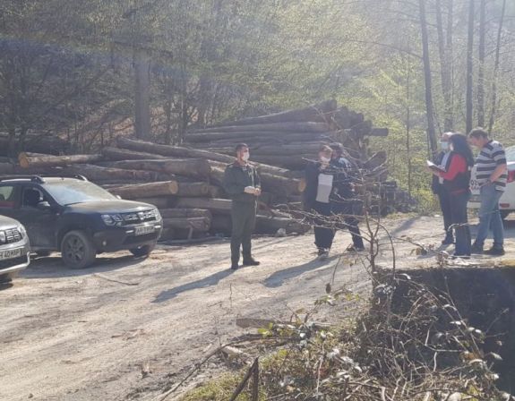 Rendőrség: közel 6000 büntetőeljárás indult az első félévben falopás gyanújával