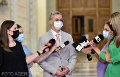 Az RMDSZ-t okolja Stelian Ion a SIIJ felszámolásának késlekedése miatt