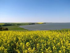 BBTE kutatói: így alakulhattak át az elmúlt évezredekben a délkelet-európai erdős sztyeppek