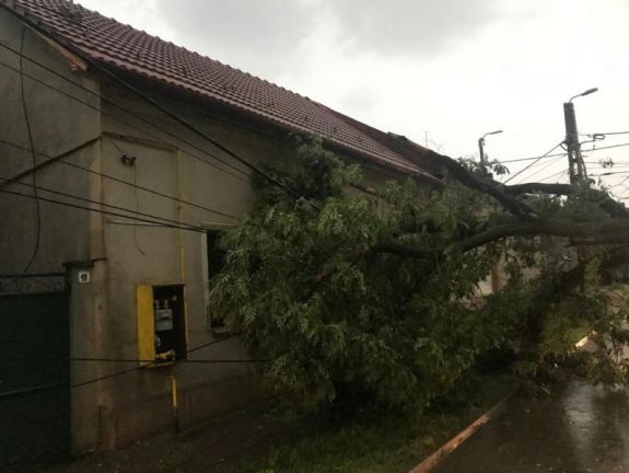 Fákat döntött az úttestre és villamosvezetékeket rongált meg a szél Hargita megyében