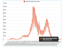 Továbbra is 200 fölött az új esetek száma 