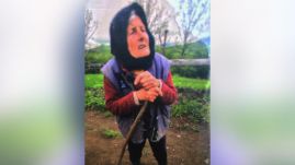 Nagy erőkkel keresnek egy 87 éves eltűnt asszonyt Máramarosban