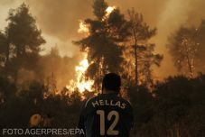 Évia szigetén továbbra is terjed az erdőtűz