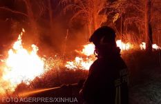 Tánczos Barna: erdőtüzek veszélye fenyeget Romániában is, fontos a megelőzés