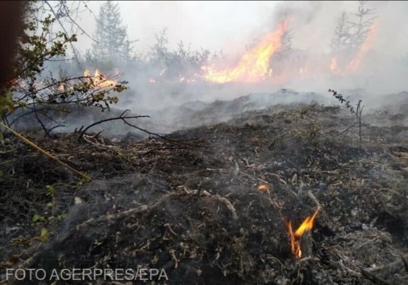 Tizenöt hektáron ég a száraz növényzet Nagyvárad határában