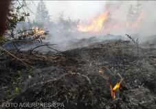 Tizenöt hektáron ég a száraz növényzet Nagyvárad határában