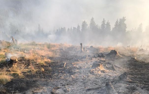 Több mint 90 tűzoltó dolgozik a bozóttűz megfékezésén a Kudzsiri-havasokban