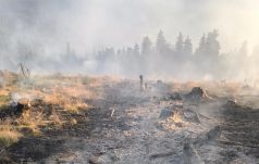 Több mint 90 tűzoltó dolgozik a bozóttűz megfékezésén a Kudzsiri-havasokban