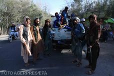 Szerves és szervetlen