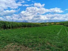 Várják a Hargita megyei gazdák vidékfejlesztési javaslatait