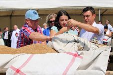 Búzaösszeöntés Szilágyságban: gyermekotthonoknak készül a magyarok kenyere