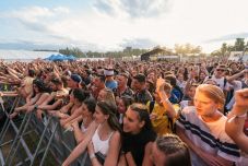 Minden, amit érdemes tudni az idei VIBE különkiadásáról