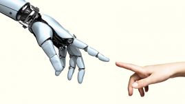 Ember vagy „háziállat”?