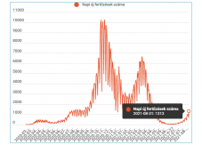 Több mint 1300 új esetet igazoltak